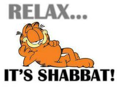 shabbat garfield