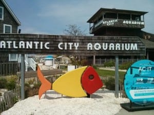 Atlantic City aquarium