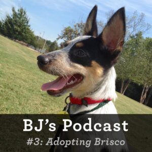 BJ Nemeth adopts Brisco podcast