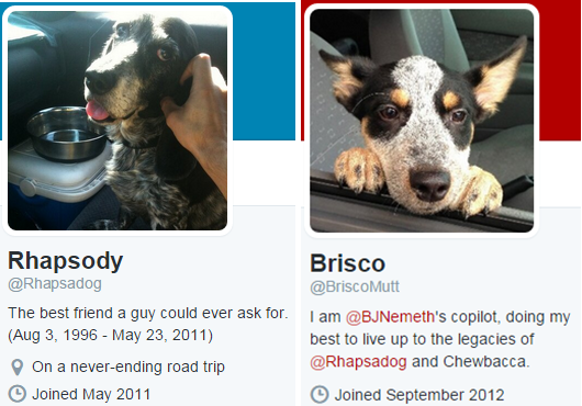 BJ Nemeth's dogs, Brisco and Rhapsody, on Twitter