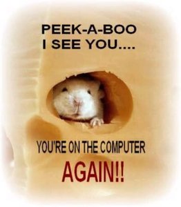 computer peek-a-boo