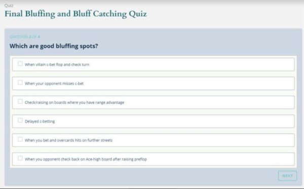 Bluff catching quiz