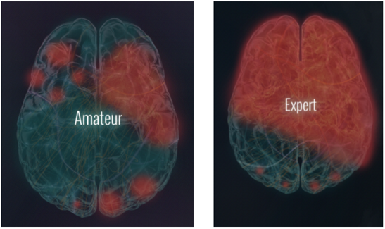 poker brain activity