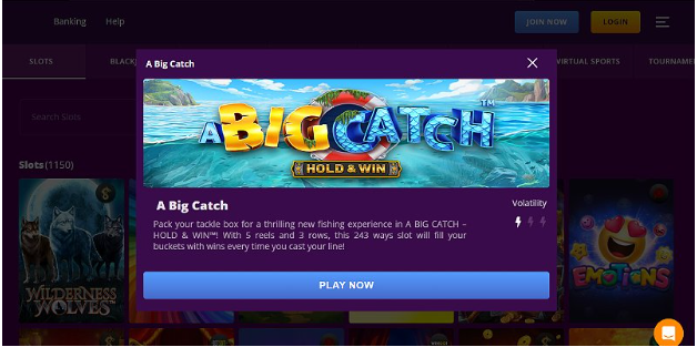 A Big Catch