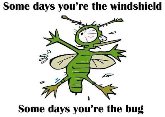 Bug