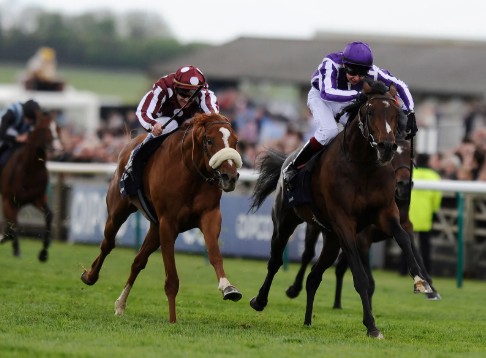 Horse race